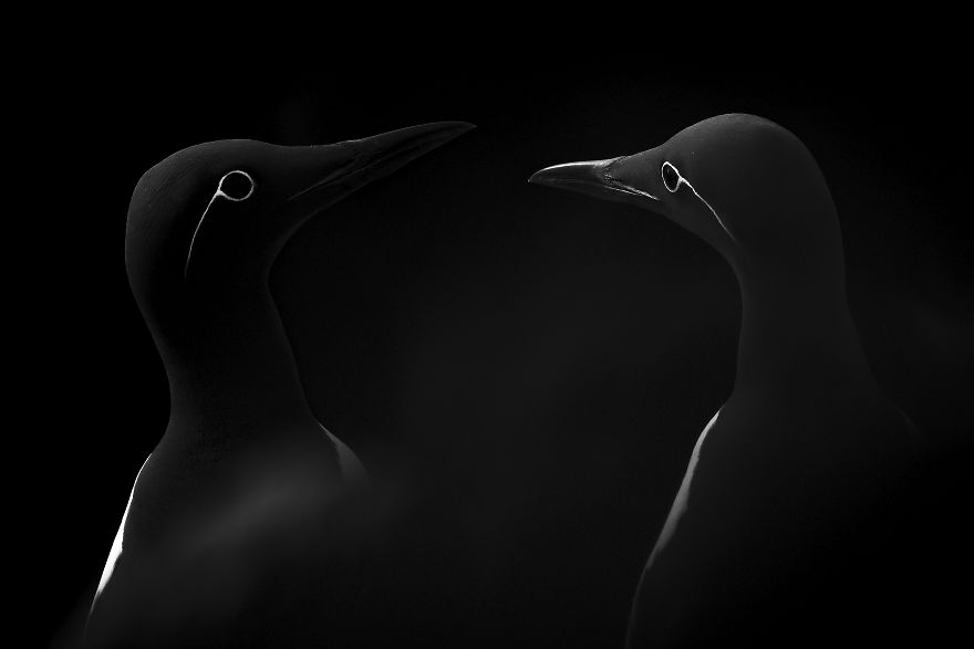 vmware虚拟机ubuntu18 系统解决复制粘贴的问题